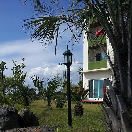 Jeju Bada Wi Olle Pension Seogwipo Zewnętrze zdjęcie